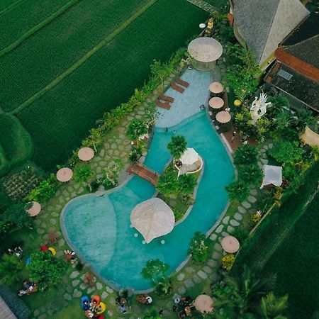 Candy Villa By Pramana Villas 乌布 外观 照片